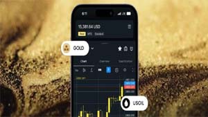 Bullion Account